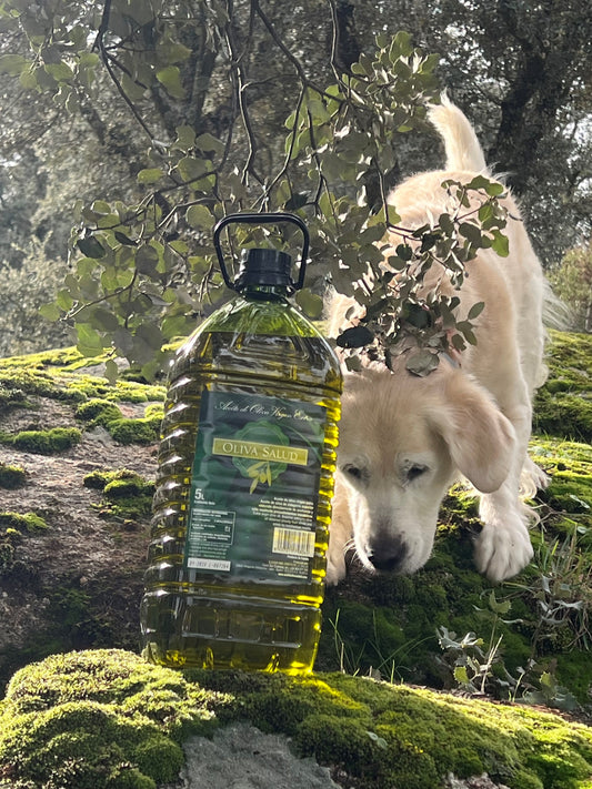 3 Garrafas de 5l de Aceite de Oliva