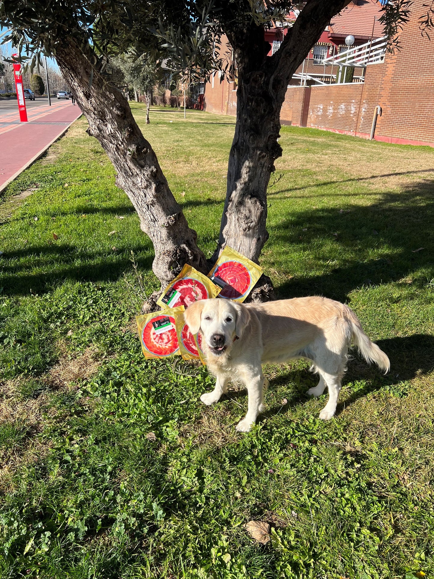 Lote 5 sobres de jamón